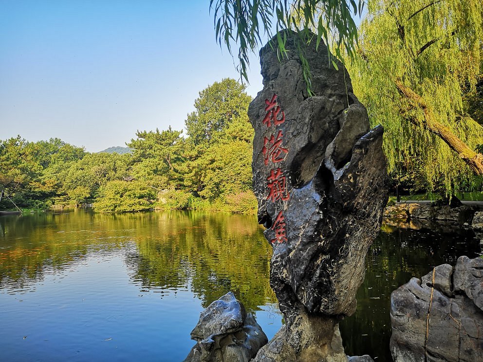 Viewing Fish at the Flower Pond